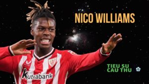 Nico Williams