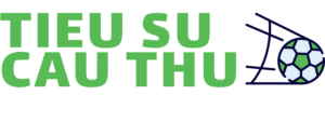 Logo tieusucauthu.com